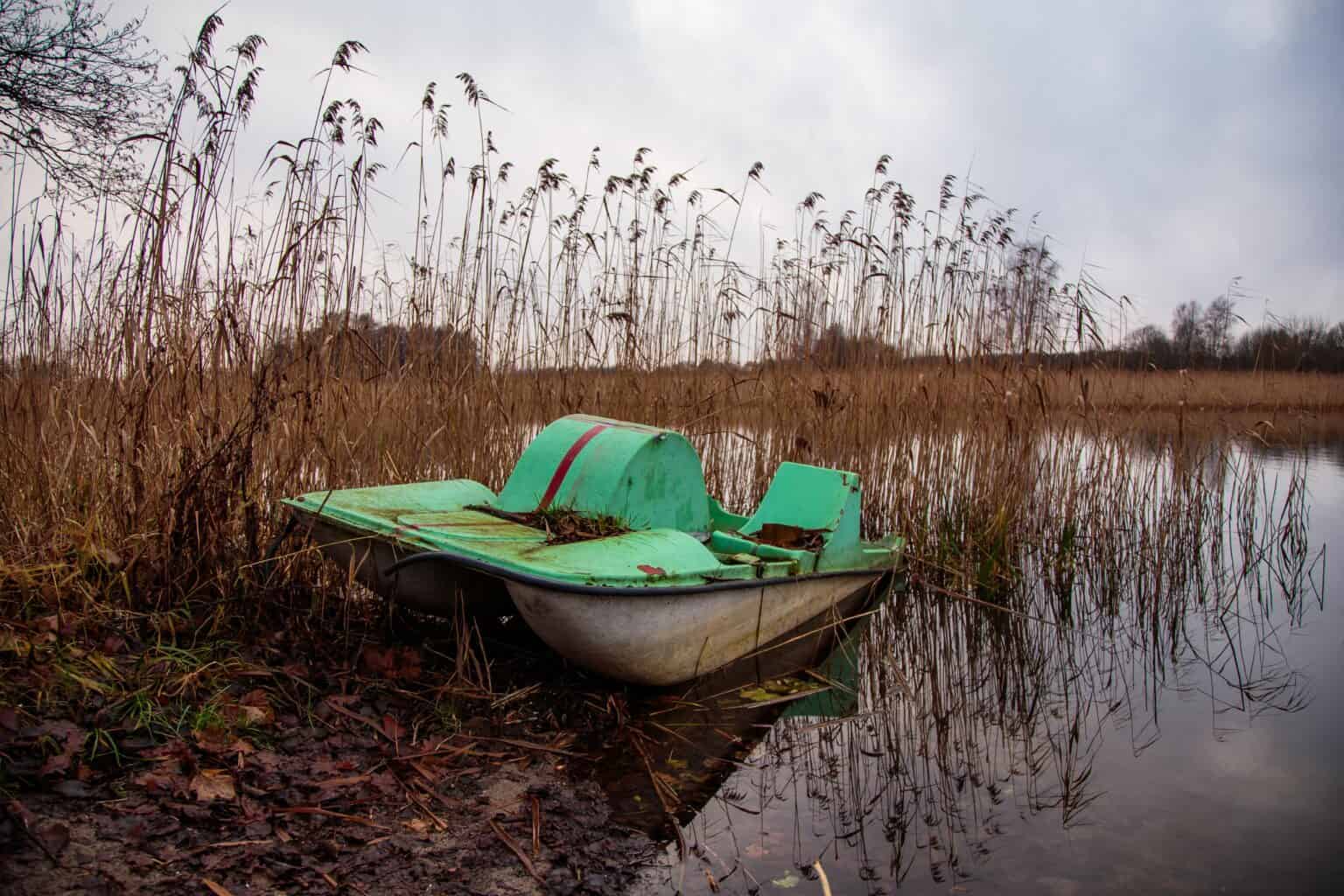 airboat-treatment