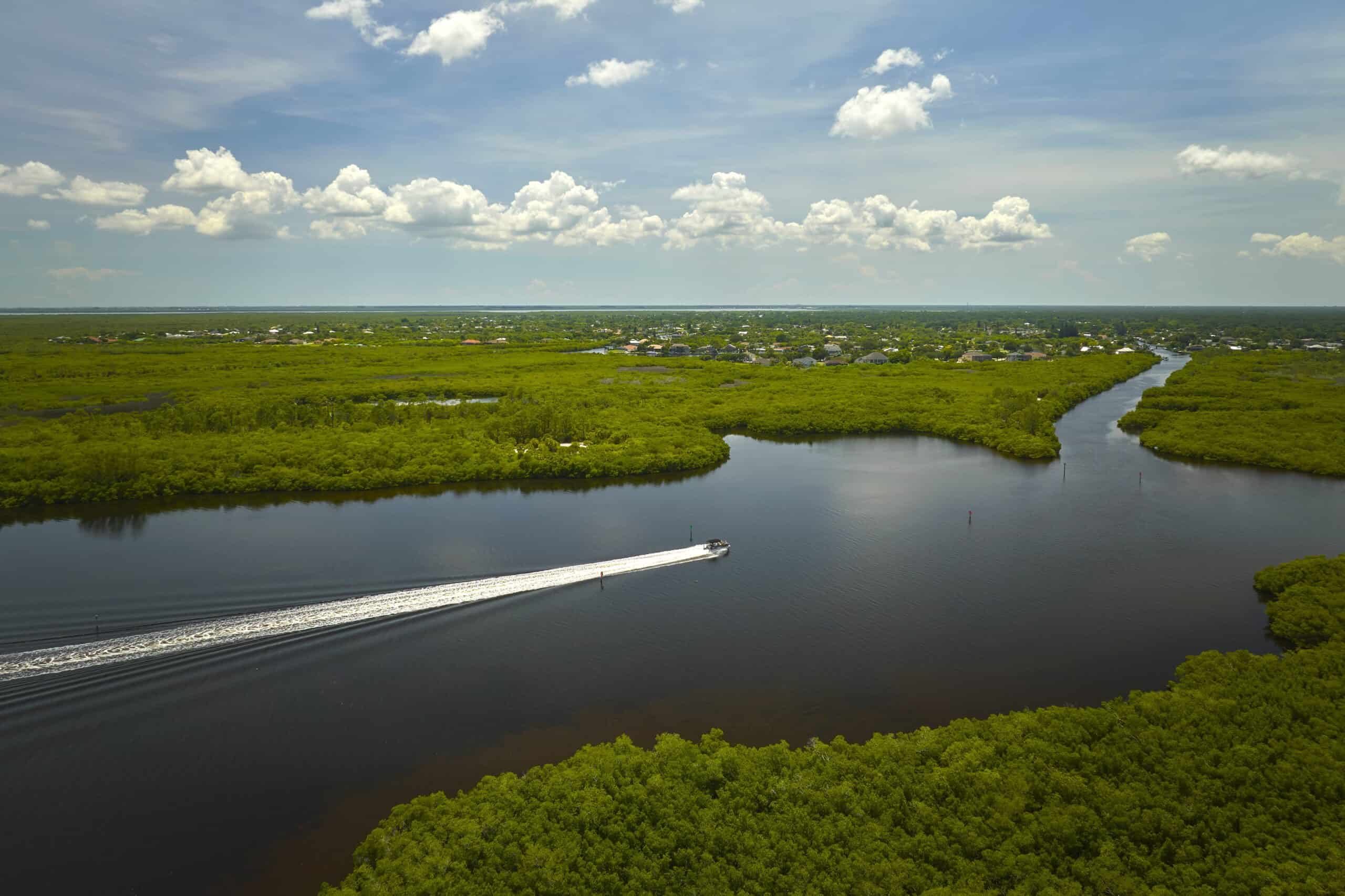 aquatic-management