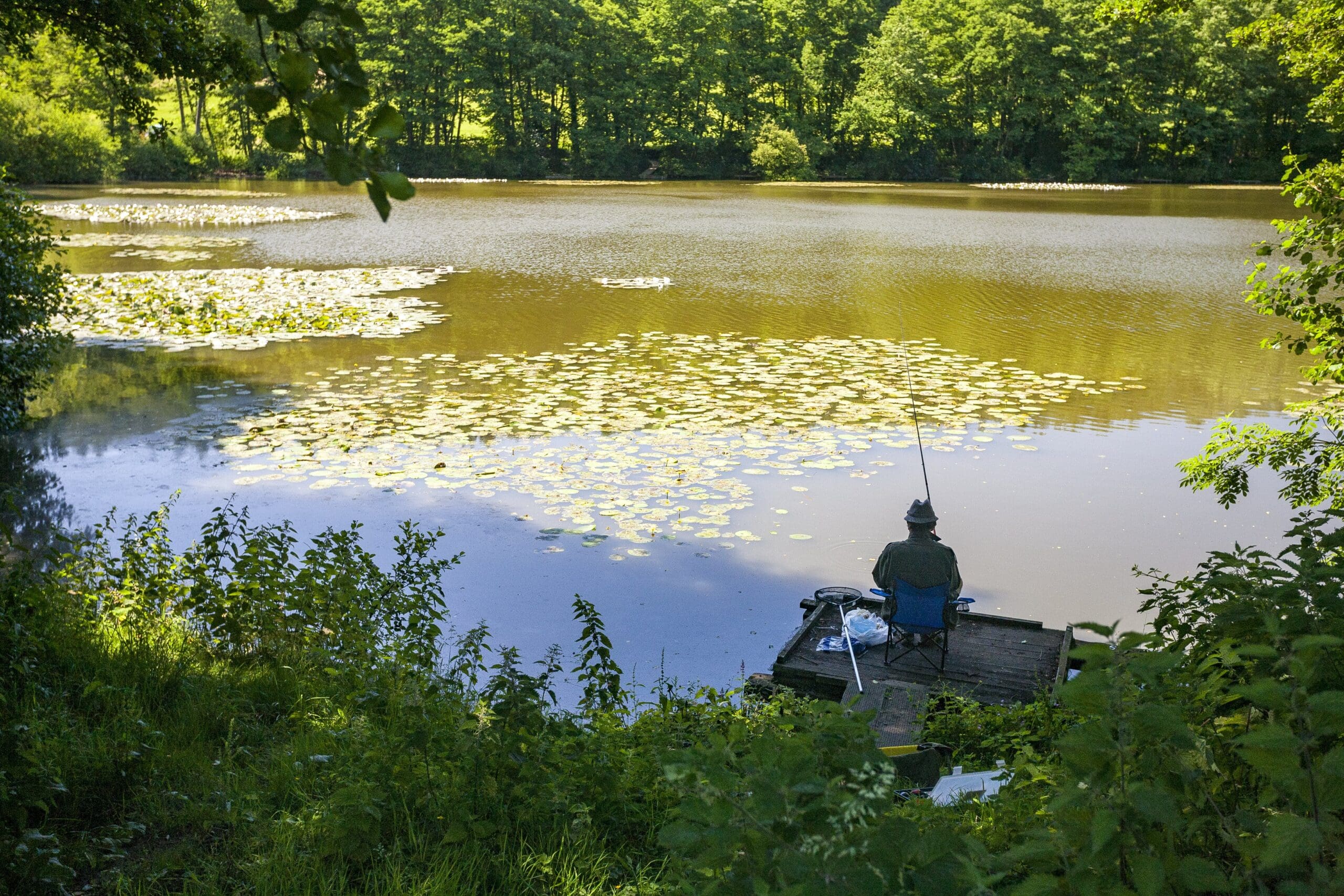 pond-algae-control