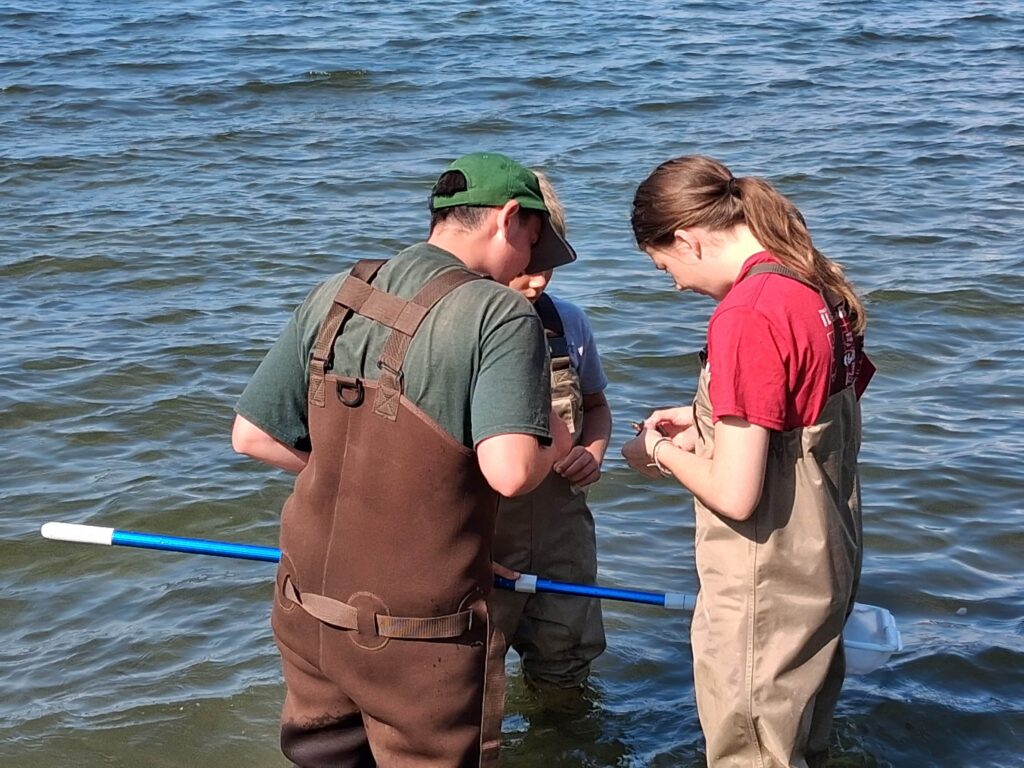 pond management