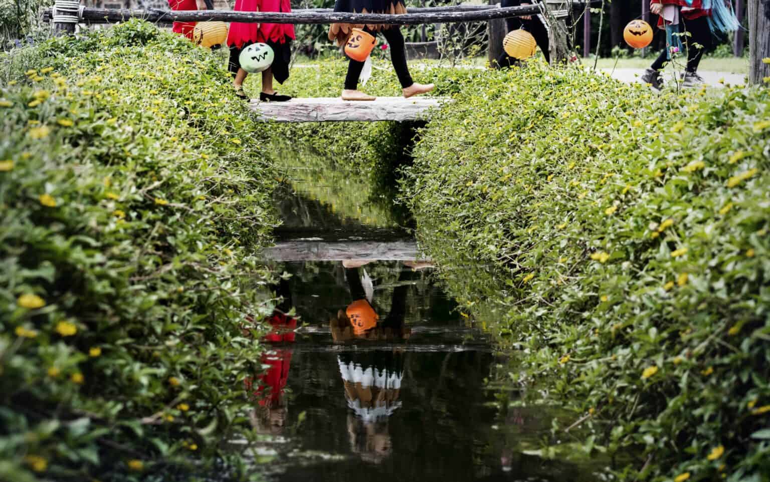 wetland-management
